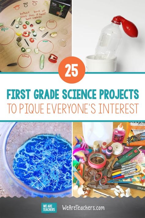 25 First Grade Science Projects to Pique Everyone’s Interest. First grade science projects, activities, and experiments that are fun for everyone, and the hands-on learning can't be beat. Try these 25 on for size! #science #teachingscience #STEM #firstgrade #teaching Science For 1st Grade Activities, Science Fair For 1st Grade, Science Activities For 1st Grade, Science 1st Grade Activities, 1st Grade Homeschool Science, Easy 2nd Grade Science Projects, Fun 1st Grade Science Experiments, Year 1 Science Experiments, First Week Science Experiment