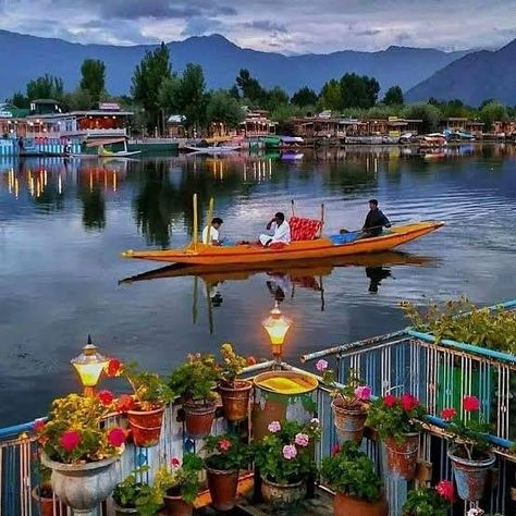 Bonito, Srinagar, Kashmir Tourism, Kashmir Trip, Dal Lake, Travel Destinations In India, Amazing India, Kashmir India, India Tour