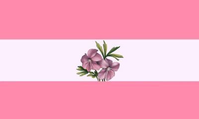 Tumblr, Lesbian Flag, Lgbtq Flags, Lgbt Flag, What Have You Done, Non Binary, Pink Wallpaper Iphone, Pink Love, Pretty Makeup