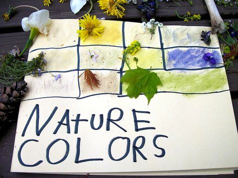 Aktiviti Kanak-kanak, Nature Colors, Nature School, Outdoor Education, Outdoor Activities For Kids, Preschool Science, Nature Play, Outdoor Learning, Nature Kids