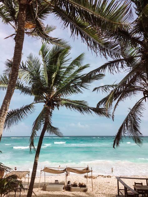 Tulum Beach: A Complete Guide [2024] Costa Rica, Mexico, Tulum Beach Club, Akumal Beach, Tulum Ruins, Tulum Beach, Water Sports Activities, Beach Bedding, Tropical Resort