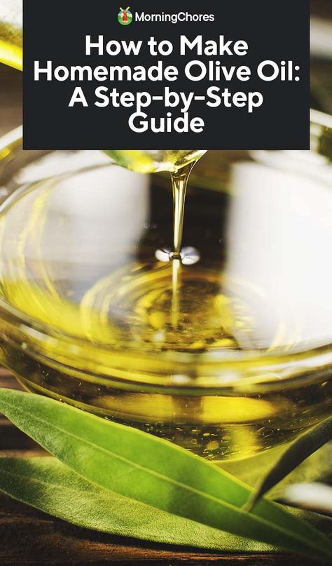 Homemade Olive Oil, Drinking Olive Oil, Olive Oil Dip For Bread, Olive Oil Dip, Orange Olive Oil Cake, Olive Oil Bread, Olive Oil Recipes, Olive Recipes, Homemade Oil