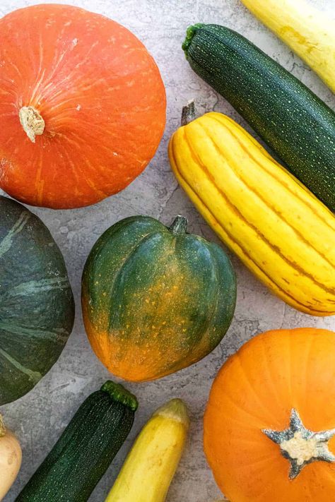 Though they're pillars of the produce aisle, there are several types of squash to know and love. A list of summer and winter varieties. #squash #wintersquash #summersquash Squash Varieties Types Of, Types Of Squash Winter, Types Of Squash Summer, Different Squash Types, Vegetable Photos, Types Of Squash, Carnival Squash, Sweet Dumpling Squash, Yellow Crookneck Squash