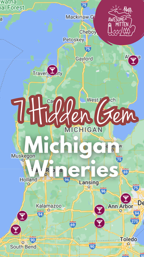 Explore hidden gem Michigan wineries from Whole Hearted Wine in New Hudson to Thunder Bay Winery in Alpena and everywhere in between! Michigan Wineries, Weekend Snacks, Benton Harbor, White Sangria, Different Wines, Wine Selection, Michigan Travel, Thunder Bay, State Of Michigan
