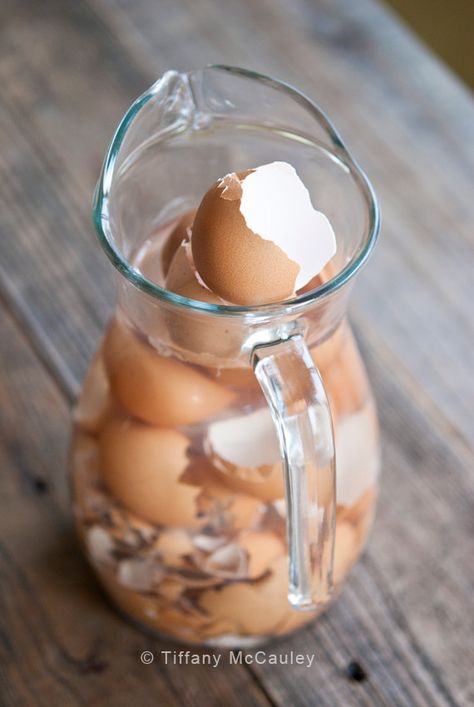 Homemade Miracle Grow Water Homemade Miracle Grow, Homemade Plant Fertilizer, Homemade Plant Food, Egg Shells In Garden, Miracle Grow, Farmhouse Tile, Garden Remedies, Farmhouse Shower, Plant Care Houseplant