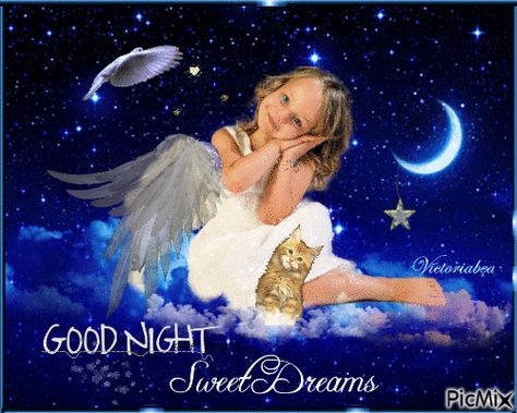 Good Night Angel, Laku Noć, Sweet Dream Quotes, Good Night Cat, Good Night To You, Heart Roses, Good Night Massage, Friends Pictures, Quote Pictures