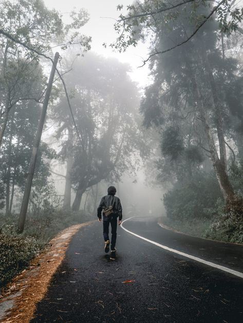 Nature, Person Walking Back View, Struggle Wallpaper, Boy Walking Video, Person Back View, Walking Back View, 1989 Songs, Men In Nature, Background For Poetry Writing