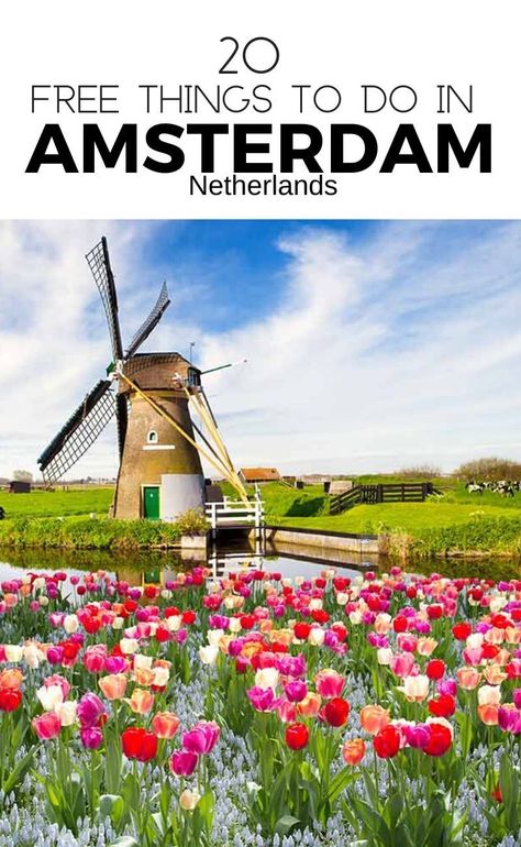 15 Free Things To Do In Amsterdam. If seeing a windmill is high on your agenda, this Amsterdam attraction should be on your list. If you are visiting Amsterdam and you want to see an authentic Dutch windmill, you don’t need to pay for a tour to one of the fields outside the city because there are two Dutch windmills in Amsterdam itself. #travelinfo #europe #amsterdam #travel #free #thingstodo #holland #netherlands Amsterdam Landmarks, Amsterdam Windmills, Windmills In Amsterdam, Visiting Amsterdam, Bucket List Travel Destinations, Amsterdam Attractions, Travel Netherlands, Budget Luxury, Dutch Cheese
