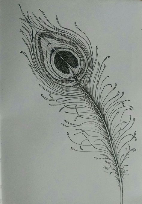 Pen and ink drawing, peacock feather by Jean LeBaron Art©2016 Peacock Ink Drawing, How To Draw A Peacock Feather, Feather Drawing Simple, Peacock Feather Sketch, Peacock Feather Drawing, Drawing Peacock, Flute Tattoo, Feather Sketch, Peacock Feather Art