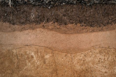 Form of soil layers,its colour and textu... | Premium Photo #Freepik #photo #dry-soil #cracked-earth #dry-land #dry Outer Space, Layers Of Earth, Texture Layers, Soil Texture, Image Map, Soil Layers, Color Textures, Premium Photo, 1 Million