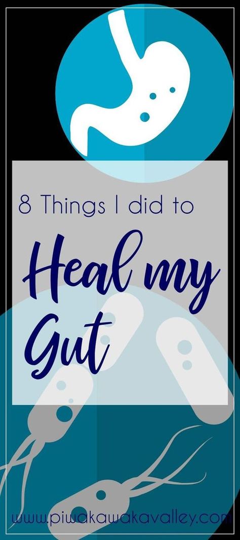 Heal My Gut, Gut Issues, Workout Hiit, Gut Health Diet, Improve Gut Health, Health Living, Gut Bacteria, Gut Healing, Health Logo