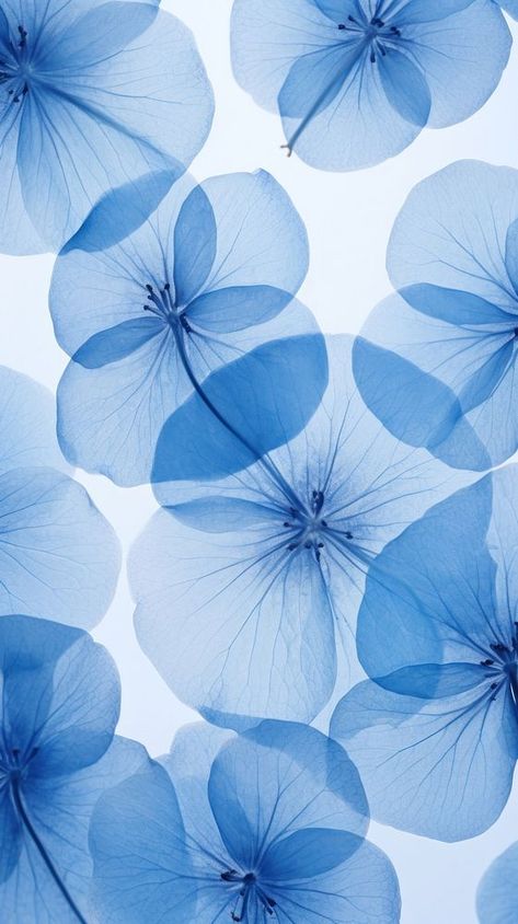 Pastel, Hydrangea Wallpaper Desktop, Hydrangea Aesthetic, Flowers On Blue Background, Hydrangea Wallpaper, Backgrounds Nature, Hydrangea Blue, Blue Hydrangea Flowers, Vintage Paper Background
