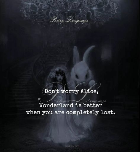 Alice In Wonderland Creepy Art, Aesthetic Cartoon Quotes, Alice In Wonderland Aesthetic Cartoon, Aesthetic Alice In Wonderland, Alice Quotes, Alice In Wonderland Quotes, Wonderland Aesthetic, Dark Alice In Wonderland, Alice In Wonderland Artwork