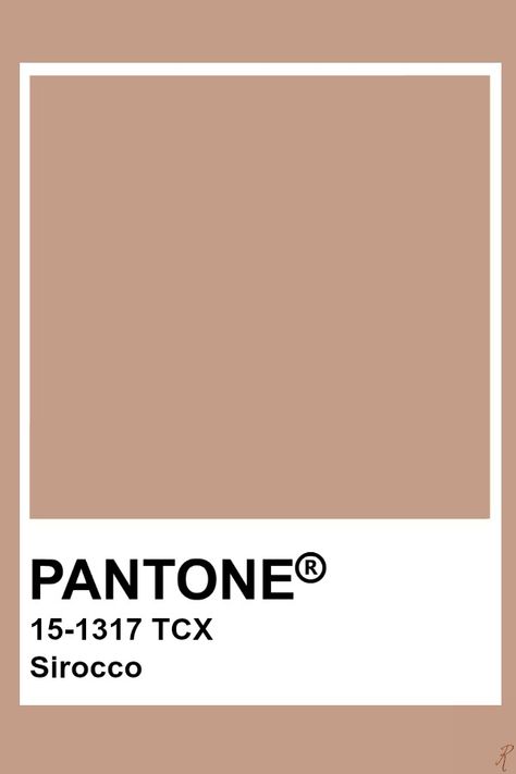 Pantone Sirocco Tan Pantone Color, Tan Colour Pallete, Tan Color Aesthetic, Tan Colour Palette, Tan Pantone, Bonsai Aesthetic, Pantone Brown, Beige Pantone, Pantone Yellow