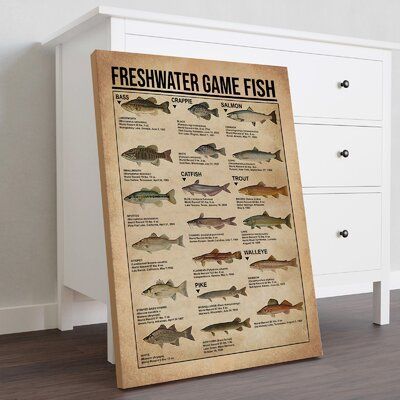 All pleasure is ours to have your attention on our finest canvas! This product is one of the indispensable items to highlight your room with impression and luxury. Also, it is such an excellent idea to make it a gift to your dearest ones! | Highland Dunes Freshwater Game Fish Gallery Wrapped Canvas - Animal Fish Knowledge Illustration Decor, Grey And Green Home Decor 2.0 in | C006178209 | Wayfair Canada Knowledge Illustration, Fish Gallery, Fishing Room, Grey And Green, Fishing Decor, Green Home, Green Home Decor, Hanging Posters, Intense Colors