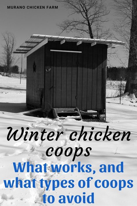 Chicken Coop For Winter Cold Weather, Chicken Coops Off The Ground, Diy Chicken Coop Cold Weather, Winter Duck Coop Cold Weather, Midwest Chicken Coop, Alaska Chicken Coop, Cold Climate Chicken Coop Designs, Chicken Coop Winter Cold Weather, Chicken Coop Cold Climate