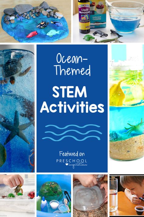 Preschool Ocean Theme Activities that Kids Love Under The Sea Preschool Activities Science, Water Themed Activities For Preschool, Steam Ocean Activities, Ocean Animal Lessons For Preschool, Ocean Theme Preschool Dramatic Play, Ocean Exploration Preschool, Ocean Reading Activities, Ocean Exploration Activities, Ocean Themed Activities For Preschoolers