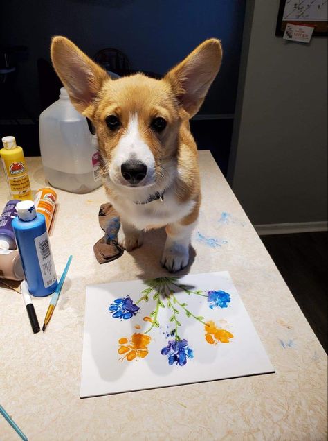 Crafts For Dogs To Do, Dog Arts And Crafts, Dog Paw Art, Dog Paw Print Art, Paw Print Art, Paw Painting, Paw Art, Basenji Dogs, Colorful Drawing