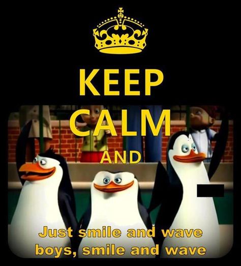 Penguins of Madagascar <3 Just Smile and Wave Humour, Keep Calm Quotes, Keep Calm Funny, Keep Calm Signs, Keep Calm Carry On, Penguins Funny, Keep Calm Posters, Smile And Wave, Calm Quotes