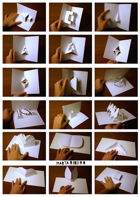 السلسلة الغذائية, Diy Pop Up Book, Arte Pop Up, Pop Out Cards, Diy Pop Up Cards, Libros Pop-up, Paper Engineering, Pop Up Art, Paper Pop