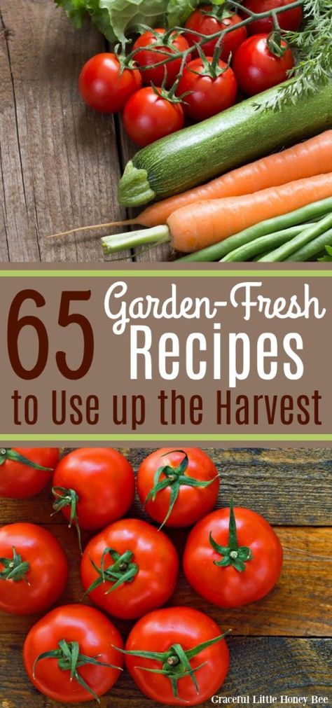 Check out this list of 65 Garden-Fresh Recipes that will help you use up your harvest or your farmer's market produce! Find the recipes at gracefullittlehoneybee.com #garden #easyrecipes #homegrown Garden Vegetable Recipes, Farmer Recipes, Fresh Vegetable Recipes, Homegrown Vegetables, Produce Recipes, Homegrown Food, Farmers Market Recipes, Farm Fresh Recipes, Home Grown Vegetables