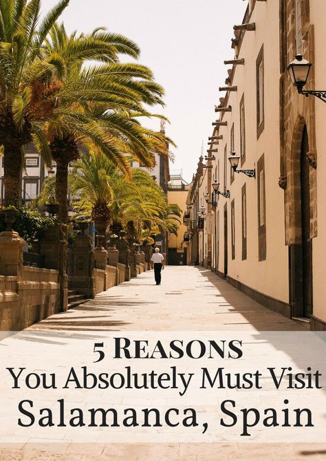 5 Reasons You Absolutely Must Visit Salamanca, Spain - Blue Osa Yoga Beach Resort & Spa Granada, Cadiz, Spain Roadtrip, Spain And Morocco, Salamanca Spain, Visit Spain, Ashtanga Vinyasa Yoga, Spain Trip, Yoga Beach