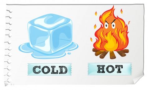 Opposite adjectives with cold and hot Opposites Preschool, Opposite Words, Printable Preschool Worksheets, Flashcards For Kids, English Lessons For Kids, Lessons For Kids, Preschool Worksheets, English Lessons, Hot And Cold