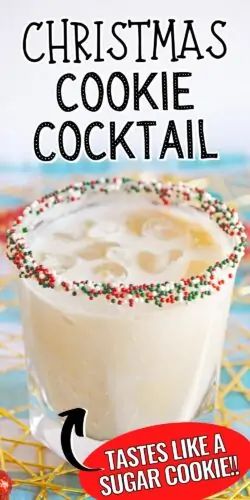 Drink With Rumchata, Frozen Holiday Drinks, Christmas Boozy Drinks, Christmas Food Crockpot, Sugar Cookie Martini With Rumchata, Vodka Based Christmas Cocktails, Drinks Made With Vanilla Vodka, Pino Grigio Cocktails, Christmas Drink With Vodka