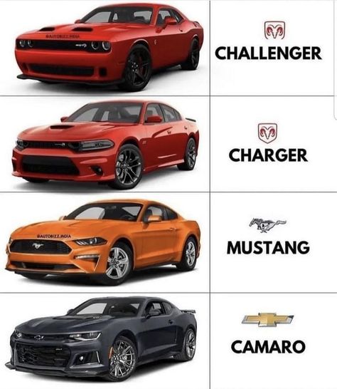 Muscle Cars Car Brands Logos, Car Facts, Mobil Drift, Drifting Cars, Street Racing Cars, Mustang Cars, Pretty Cars, Super Luxury Cars, Fancy Cars