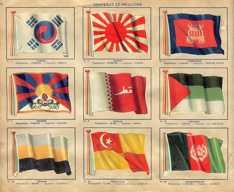 Snapchat Art, Historical Flags, Countries And Flags, Historical Objects, Korean History, Vintage Flag, French Flag, Ancient Maps, Flag Art