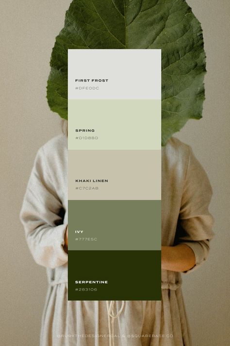 Rooted, organic and serene colour palette inspired by nature Taupe Mood Board, Pantone Violet, Green Color Pallete, Organic Color Palette, Pantone 2024, Green Branding, Green Color Palette, Website Color Palette, Color Design Inspiration