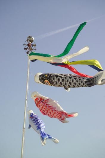 Got koinobori? It's Boys' Day in Hawaii | Hawaii Magazine Golden Week, Golden Week Japan, Children's Day Japan, Art Floral Japonais, Japanese Calendar, Kites Craft, Cassie Stephens, Boys Day, Japanese Fish