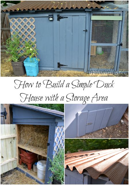 How to build a simple duck house with storage area. The storage is a great way to store feed and straw while providing a little extra insulation for the duck house. Get a free eBook tutorial. Simple Duck House, Diy Duck Enclosure, Duck Enclosure Ideas, Duck House Diy, Duck Enclosure, Duck House Plans, Duck Pens, Backyard Ducks, Duck Coop