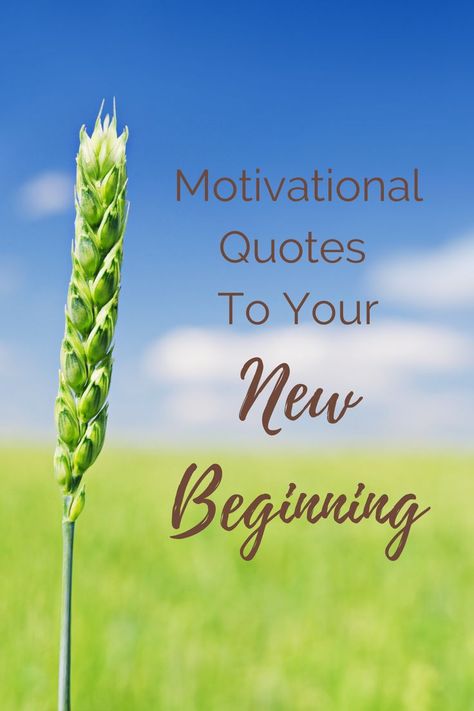 Doing New Things Quotes, Quotes About Endings And New Beginnings, Happy Beginning Quotes, A New Journey Begins Quotes, Quotes On Beginning, Every End Is A New Beginning Quotes, Endings Are New Beginnings, Inspirational Quotes About New Beginning, Each Day Is A New Beginning