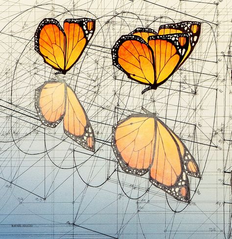 Gallery of This Architect Fuses Art and Science by Hand Illustrating the Golden Ratio - 3 Sacred Architecture, Fibonacci In Nature, Mathematical Drawing, Golden Ratio In Design, Geometrical Art, Mathematics Art, The Golden Ratio, Geometric Pattern Art, Art Sacre