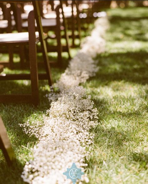 Baby's breath aisle runner. Way more baby's breath though! Baby's Breath, Wedding Ceremony Outline, Ceremony Outline, Wedding Isles, Babys Breath Wedding, Aisle Flowers, Babies Breath, Wedding Aisle Decorations, Aisle Decor