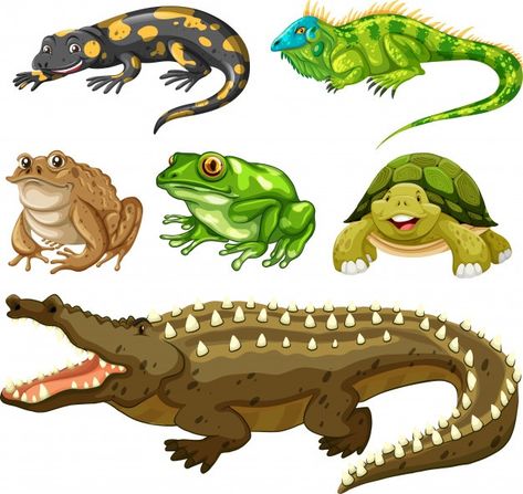 Set of reptile animal | Free Vector #Freepik #freevector #green #nature #character #cartoon Reptile Cartoon Drawings, Iguanas, Nature Character, Inkscape Tutorials, Green Leaf Background, Nature Logo Design, Animal Vector, Green Pictures, Music Festival Poster