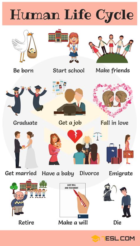 Learn Human Life Cycle Vocabulary with Pictures - 7 E S L Human Life Cycle, English Adjectives, Stages Of Life, English Vocab, English Language Teaching, English Lessons For Kids, English Writing Skills, Learn English Vocabulary, English Vocabulary Words Learning