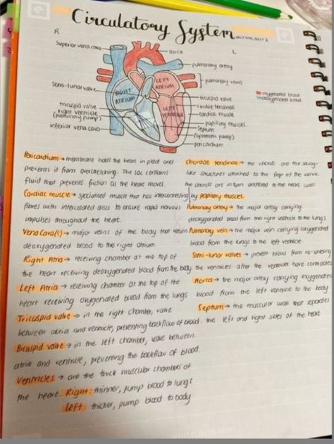 Life processes Organisation, Notes Nursing, Heart Structure, Learn Biology, Nurse Study, Notes Study, Short Notes, Nursing School Motivation, Medicine Notes