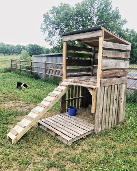 Goat Playground, Goat Toys, Livestock Shelter, Goat Shed, Goat Pen, Goat Shelter, Villa Design Plan, Goat House, Raising Farm Animals