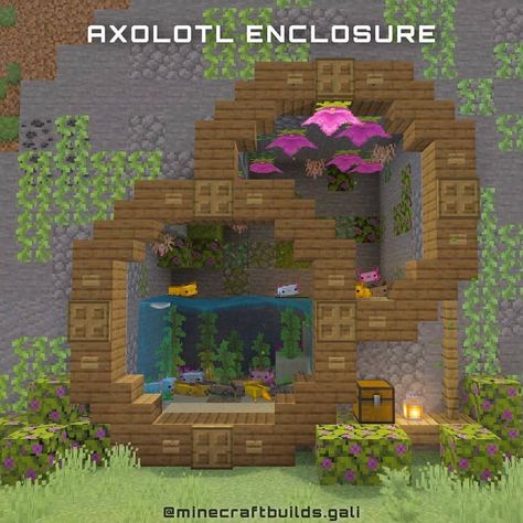 Minecraft Builds & Modeling on Instagram: “Axolotl enclosure Credit by: @minecraftbuilds.gali gali - Comment what you think 💬 - Like & share with your friends 👫👬   Follow:…” Fun Minecraft Builds Easy, Frog Habitat Minecraft, Axolotl Enclosure, Minecraft Parrot House, Axolotl Enclosure Minecraft, Minecraft Axolotl Habitat, Minecraft Fishing Dock, Minecraft Bee Sanctuary, Fun Minecraft Builds