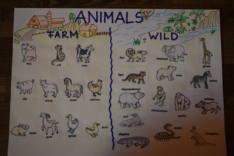 Farm and wild animals anchor chart Wild Animals Chart Preschool, Animals Anchor Chart, Excel Ideas, Animal Chart, Daycare Projects, Animals Activities, Farm Animals Activities, Student Posters, Kindergarden Activities