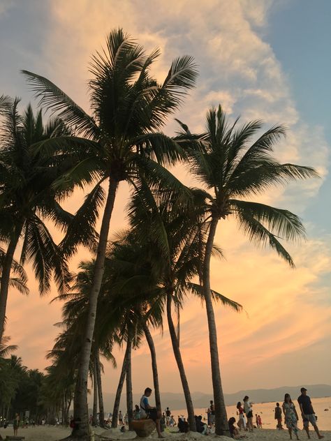 #boracay #pinksky #trees #nature #photography La Union Philippines Aesthetic, Boracay Beach Aesthetic, Boracay Aesthetic Photography, Boracay Pictures, Boracay Photography, Boracay Aesthetic, La Union Philippines, Boracay Beach, Beautiful Philippines