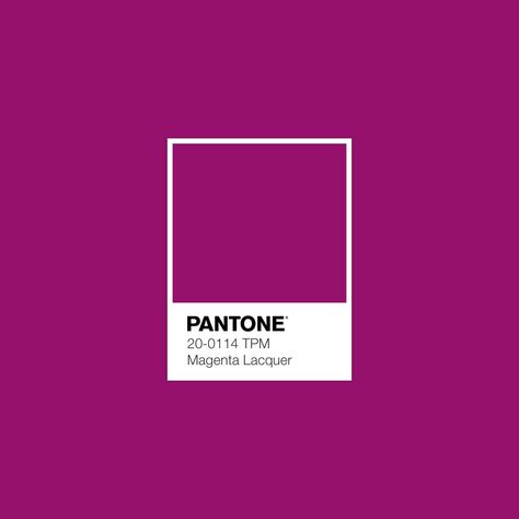 Pantone Magenta, Black Tile Bathrooms, Pantone Colour Palettes, Aesthetic Color, Color Magenta, Retro Theme, Colour Pallette, Colour Pallete, Color Analysis