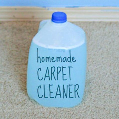 DIY Concentrated Carpet Cleaning Solution Diy Shampooer Solution, Homemade Carpet Cleaner For Shampooer, Bissell Carpet Cleaner Solution Diy, Diy Bissell Carpet Cleaner Solution, Cleaning Rugs Diy, Shampooer Solution Diy, Diy Rug Cleaner, Carpet Shampooer Solution Diy, Diy Carpet Cleaner Solution