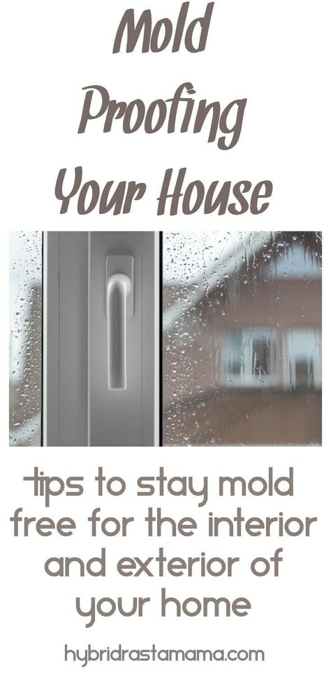 Clean Exterior Of House, Mold Toxicity, Kill Mold, Mold Illness, Mold Prevention, Remove Mold, House Mold, Mold Exposure, Toxic Mold