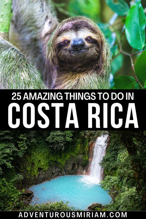 Discover the ultimate Costa Rica itinerary with this curated list of the best things to do in Costa Rica. From exploring lush rainforests and stunning beaches to experiencing the rich culture and adventure activities, this guide covers all the must-try Costa Rica activities for your next trip. #CostaRicaTravel #AdventureAwaits #PuraVidaLife Costa Rica, Best Costa Rica Itinerary, 10 Day Costa Rica Itinerary, Must Do In Costa Rica, Costa Rica Things To Do, Guanacaste Costa Rica Things To Do In, Riu Costa Rica, Costa Rica Activities, Costa Rica Rainforest