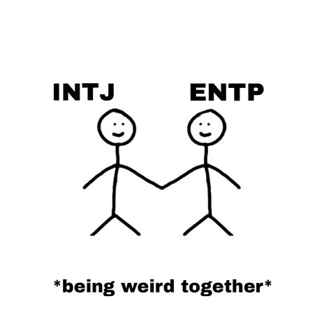 Intj And Entp, Entp And Intj, Entp Personality Type, My Moon Sign, Intj T, Mbti Memes, Intj Personality, Mbti Relationships, Mbti Character