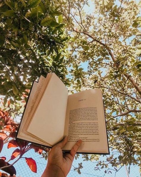 12 Free Outdoor Activities That Are Worth It Books, Reading