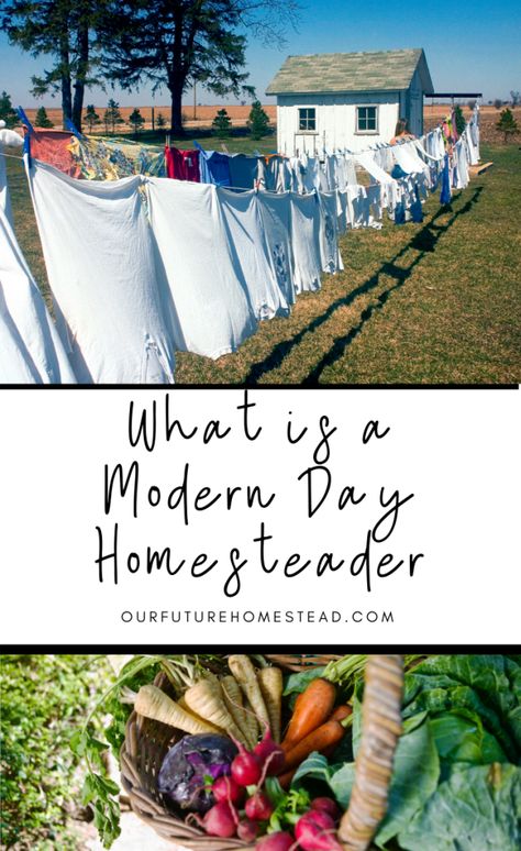 Diy Homesteading, Homesteading Diy Projects, Farm Homestead, Prairie Homestead, Provident Living, Homestead Life, Modern Homesteading, Homesteading Ideas, Homesteading Diy